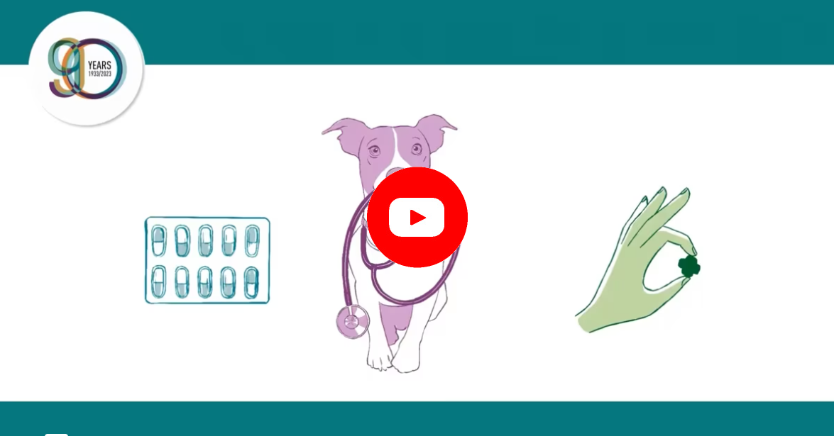 Video4
