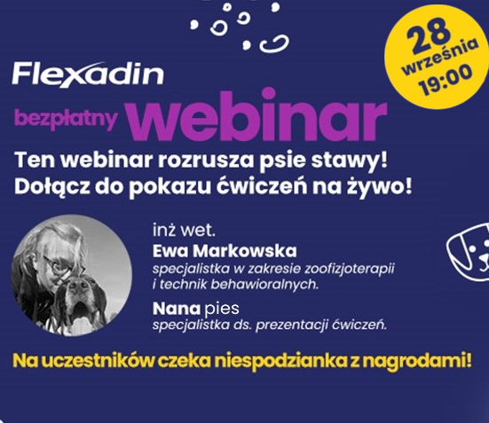 Webinar