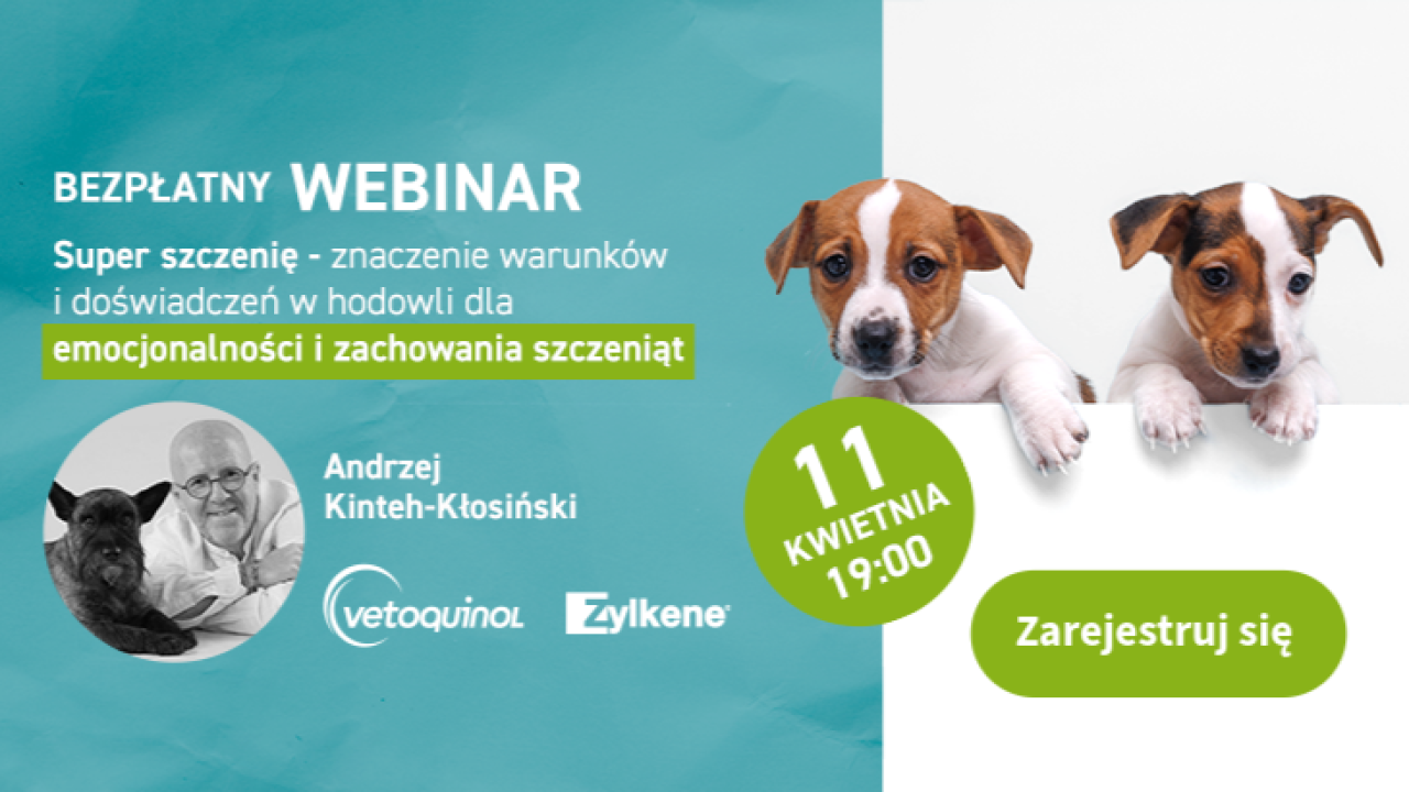 Webinar hodowcy