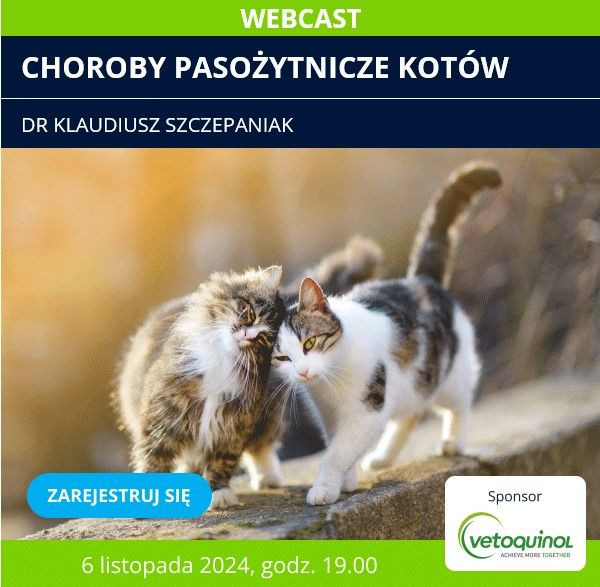 webcast