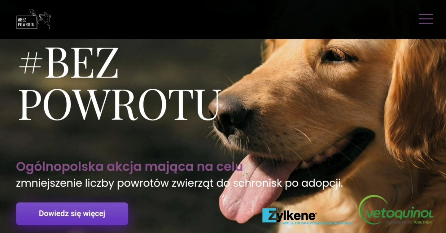 bezpowrotu