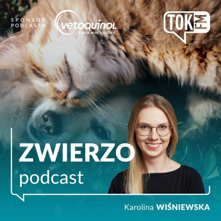 podcast