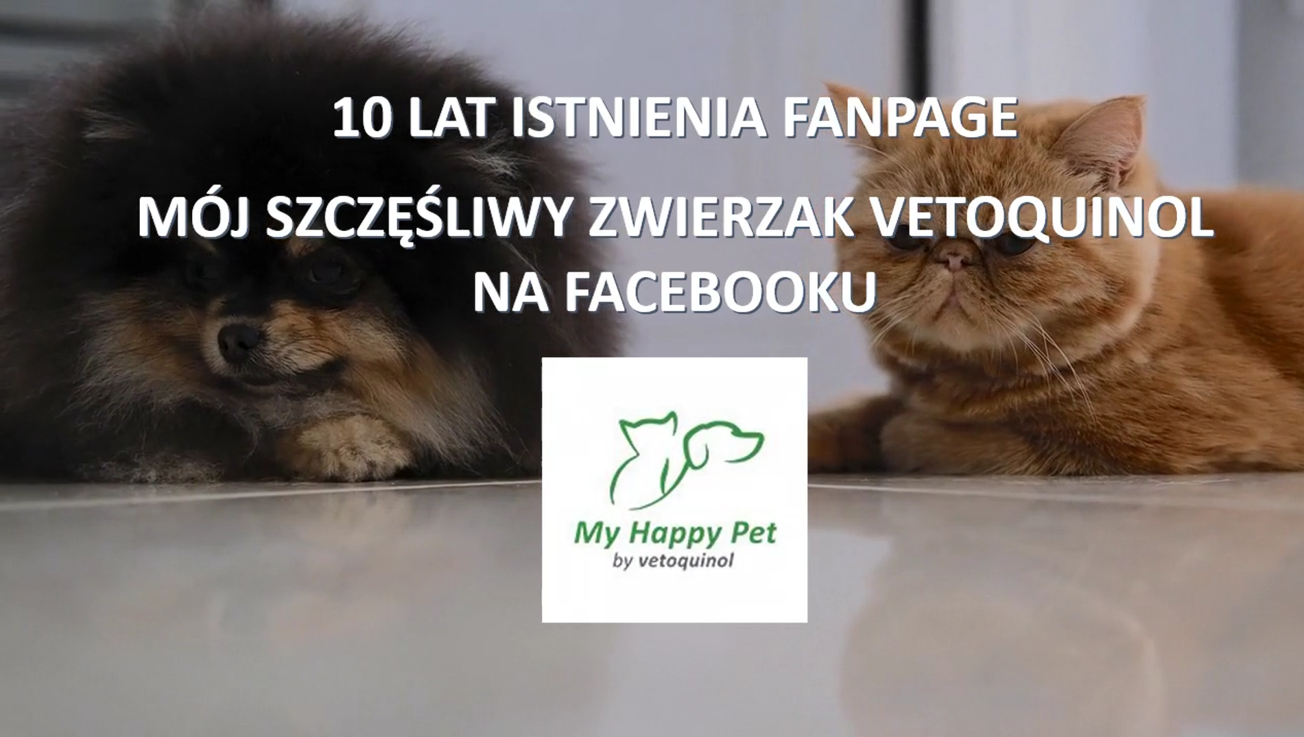 10 lat MHP