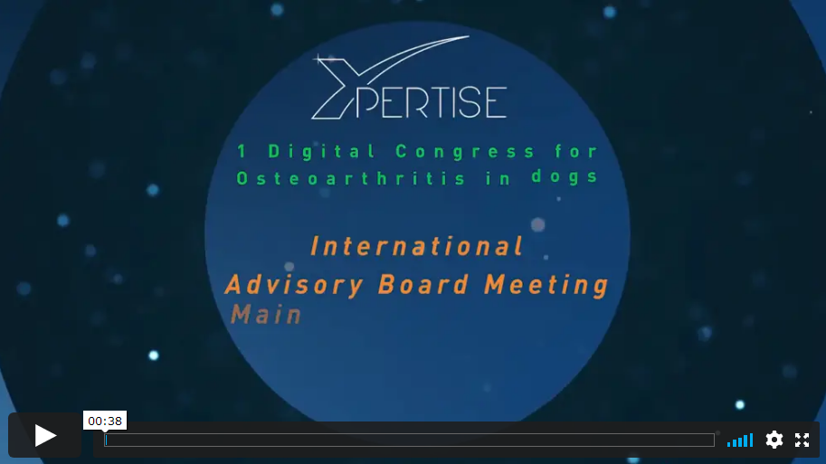 webinar