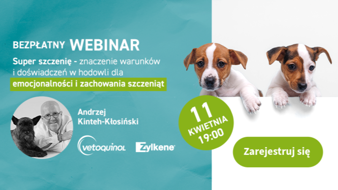 webinar