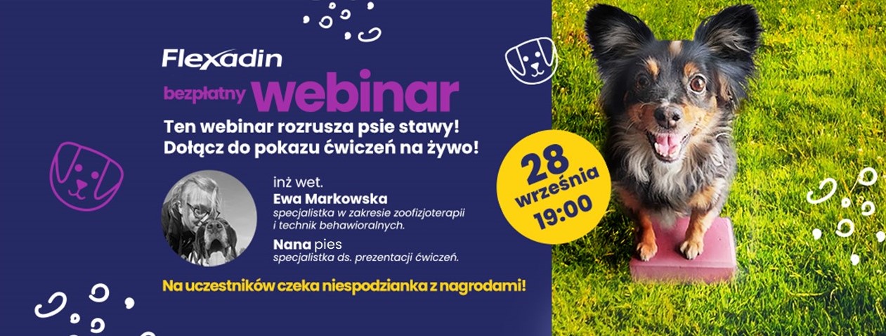 Webinar