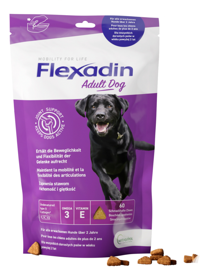 Flexadin Adult Dog