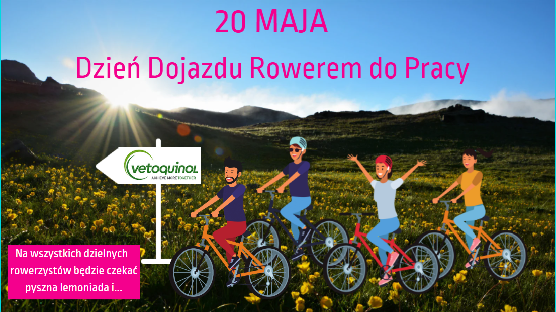 do pracy rowerem