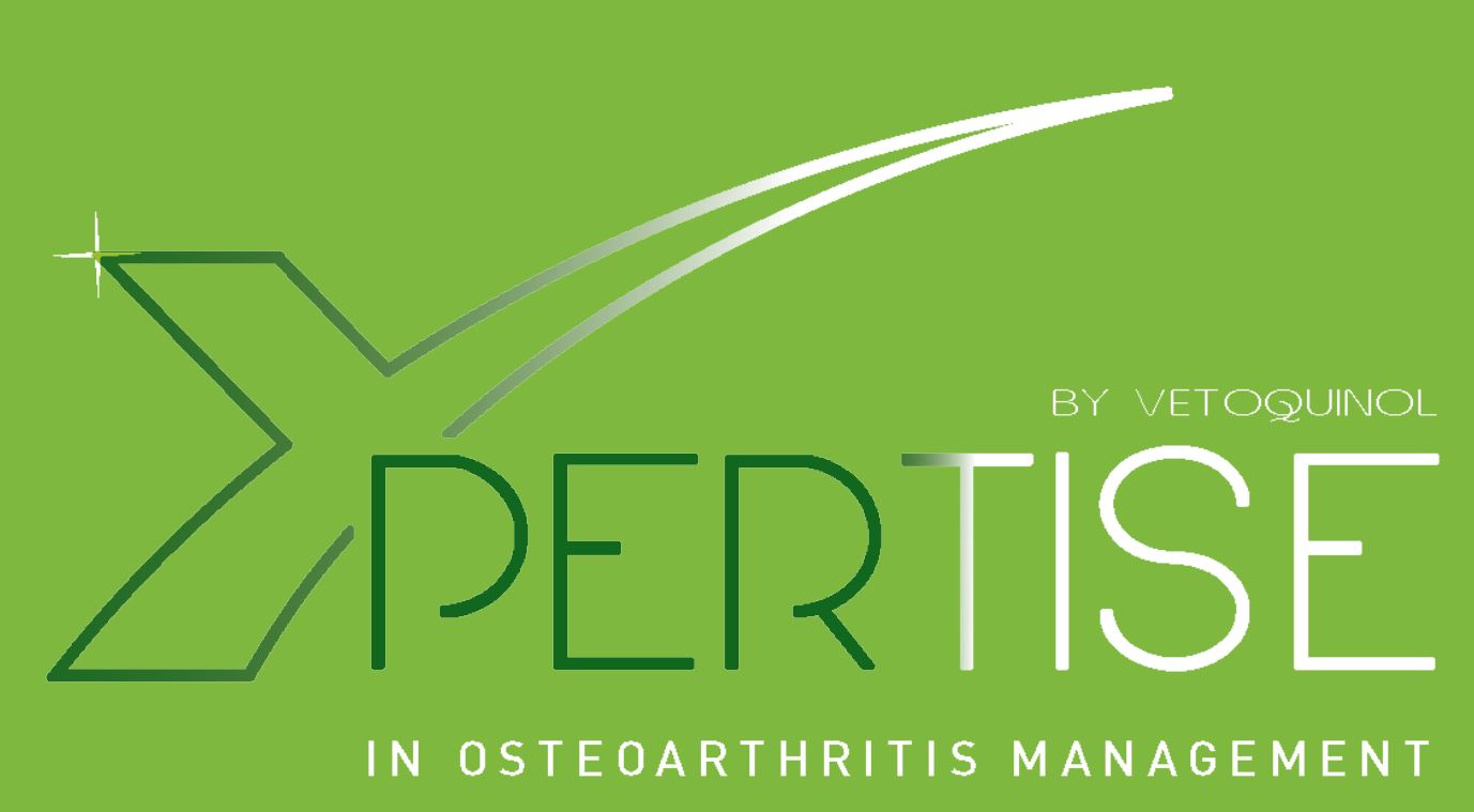 xpertise