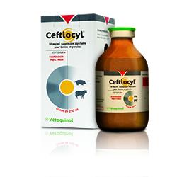 ceftiocyl.jpg Ceftiocyl