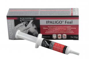 Ipaligo Foal