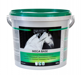 mega_base3000g.jpg Equistro Mega Base