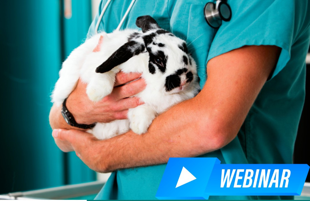 webinar