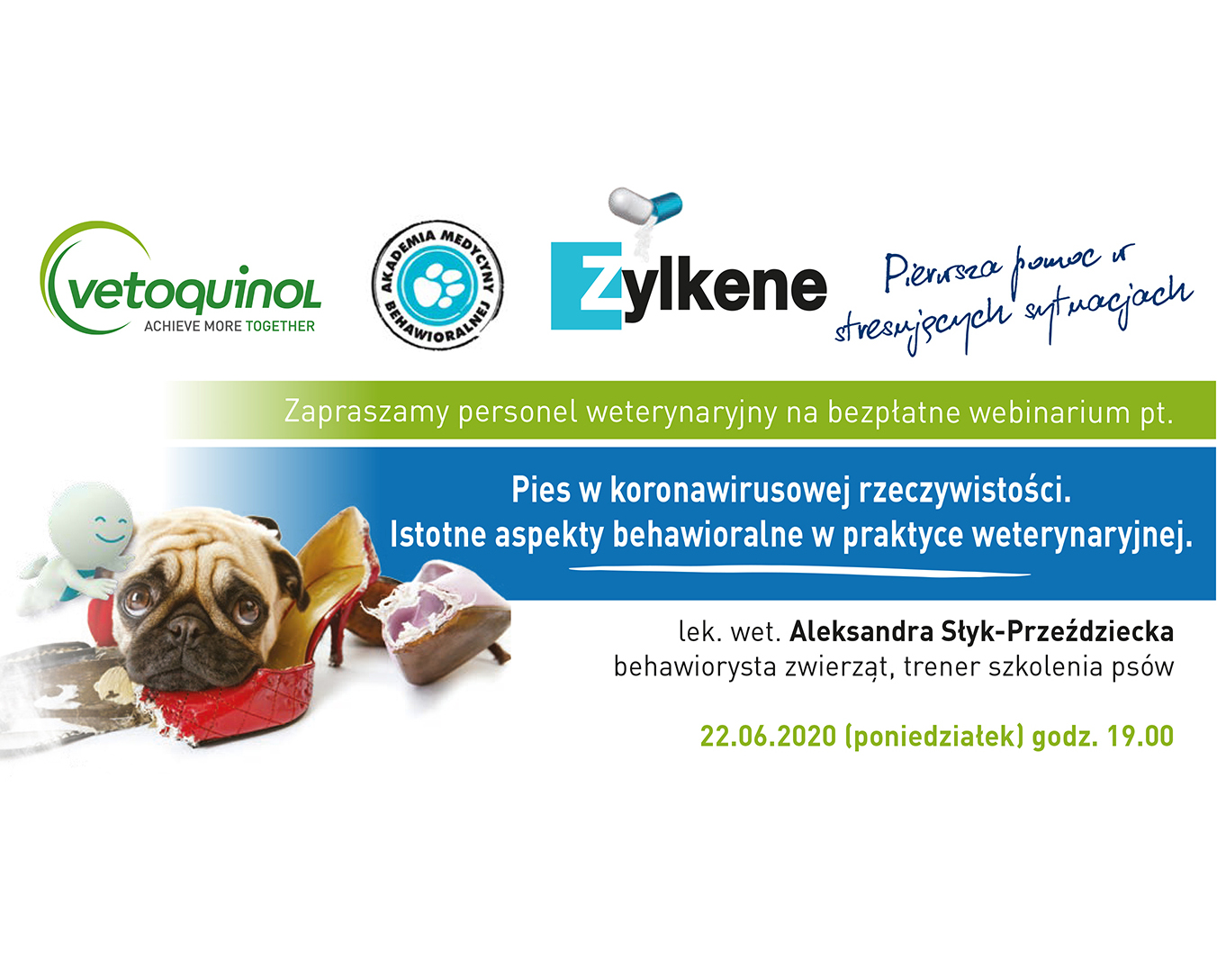 log_zylkene.png Zylkene